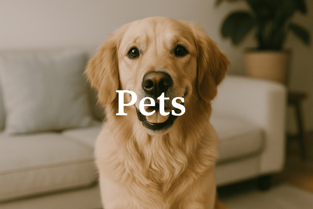 pets